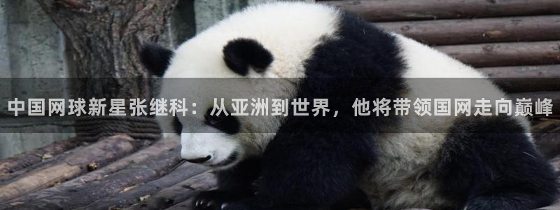 法国杯2026赛程表：中国网球新星张继科：从亚洲到世界，他将带领国网走向巅峰