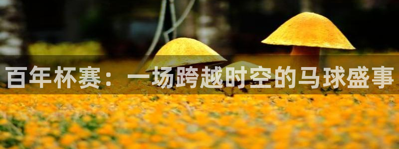 世界杯比赛时间：百年杯赛：一场跨越时空的马球盛事