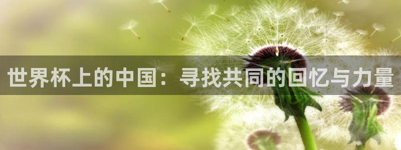 世界杯预选赛赛程时间表：世界杯上的中国：寻找共同的回忆与力量