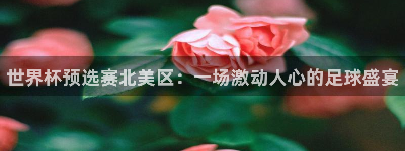 世界杯16强赛程表：世界杯预选赛北美区：一场激动人心的足球盛宴