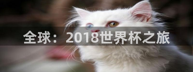 世界杯预选赛赛程表：全球：2018世界杯之旅