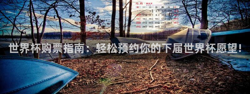世界杯球队：世界杯购票指南：轻松预约你的下届世界杯愿望!