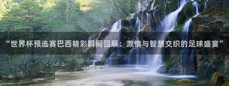 女足世界杯直播在线观看免费高清：“世界杯预选赛巴西精彩瞬间回顾：激情与智慧交织的足球盛宴”