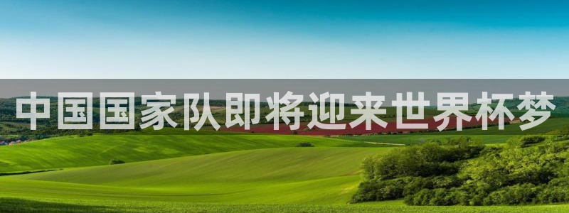 世界杯预选赛亚洲区积分榜：中国国家队即将迎来世界杯梦