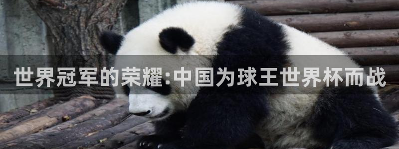 英足总杯直播：世界冠军的荣耀:中国为球王世界杯而战