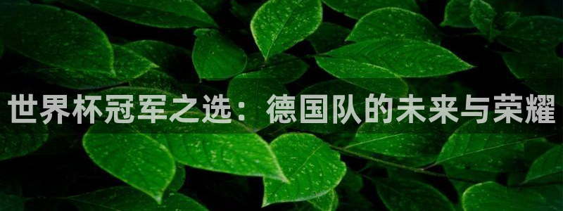 免费看足球直播比赛：世界杯冠军之选：德国队的未来与荣耀