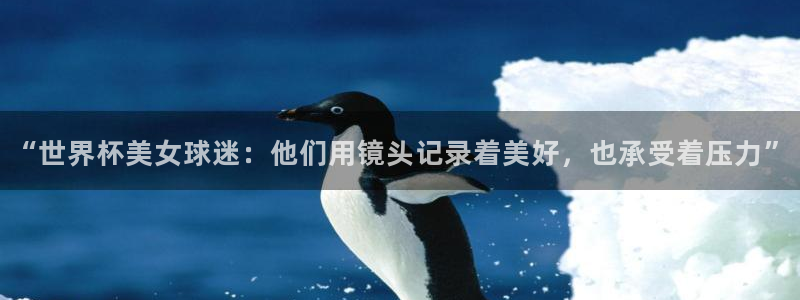 世界杯预选赛欧洲区赛程：“世界杯美女球迷：他们用镜头记录着美好，也承受着压力”