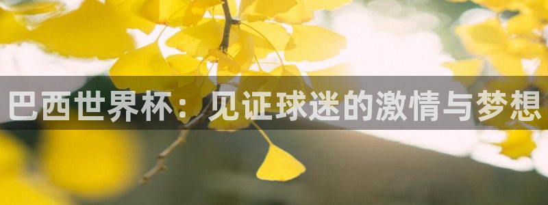 2026世界杯亚洲区预选赛赛程：巴西世界杯：见证球迷的激情与梦想