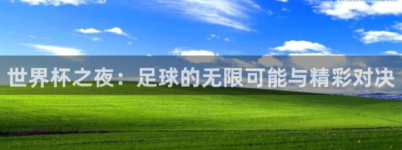 足球世界杯赛程：世界杯之夜：足球的无限可能与精彩对决
