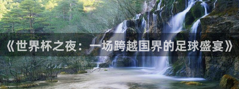 欧洲世界杯预选赛：《世界杯之夜：一场跨越国界的足球盛宴》
