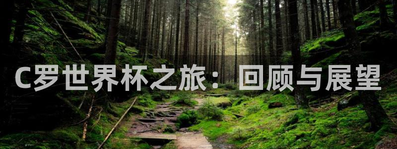2026世界杯亚洲预选赛赛程：C罗世界杯之旅：回顾与展望