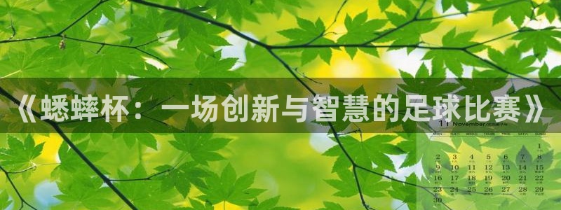 2026世界杯足球赛程时间表：《蟋蟀杯：一场创新与智慧的足球比赛》