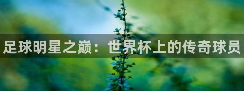 2006年世界杯：足球明星之巅：世界杯上的传奇球员