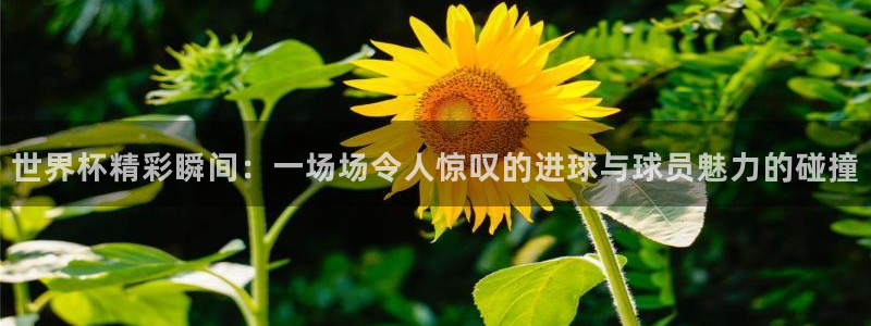 2026世界杯中国队：世界杯精彩瞬间：一场场令人惊叹的进球与球员魅力的碰撞